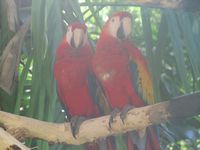 tn_IMG_1380.JPG (200x150; 7521 bytes)