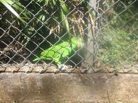 tn_IMG_1391.JPG (200x150; 13415 bytes)