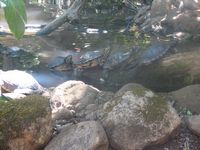 tn_IMG_1436.JPG (200x150; 9748 bytes)