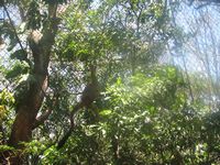 tn_IMG_1450.JPG (200x150; 14319 bytes)