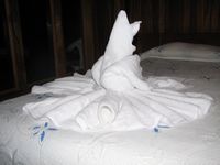 tn_St Croix and Costa Rica 2007 192.JPG (200x150; 6436 bytes)