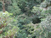 tn_St Croix and Costa Rica 2007 215.JPG (200x150; 14081 bytes)