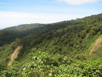 tn_St Croix and Costa Rica 2007 243.JPG (200x150; 10319 bytes)