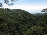 tn_St Croix and Costa Rica 2007 246.JPG (200x150; 9040 bytes)