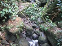 tn_St Croix and Costa Rica 2007 249.JPG (200x150; 13770 bytes)