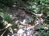 tn_St Croix and Costa Rica 2007 250.JPG (200x150; 13897 bytes)