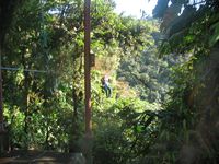 tn_St Croix and Costa Rica 2007 287.JPG (200x150; 12298 bytes)