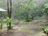 tn_St Croix and Costa Rica 2007 295.JPG (200x150; 11873 bytes)