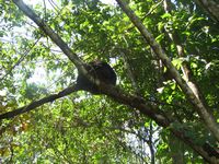 tn_St Croix and Costa Rica 2007 309.JPG (200x150; 15874 bytes)
