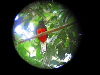 tn_St Croix and Costa Rica 2007 313.JPG (200x150; 7306 bytes)