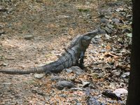 tn_St Croix and Costa Rica 2007 316.JPG (200x150; 13766 bytes)