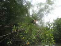 tn_St Croix and Costa Rica 2007 395.JPG (200x150; 9359 bytes)